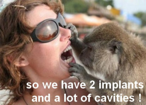 Dentists Funny Pictures Of Animals Photos