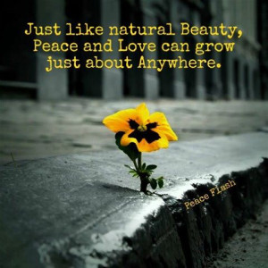 Natural Beauty Quotes. QuotesGram