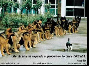 ... 02/quotes-all-about-courage-64-great-quotes-on-the-nature-of-courage