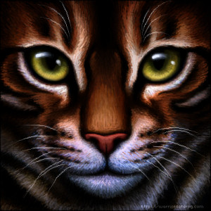 Warrior Cat - Tigerstar ? by Wynnyelle