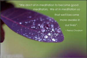 We don't sit in meditation to become good meditators. We sit in ...