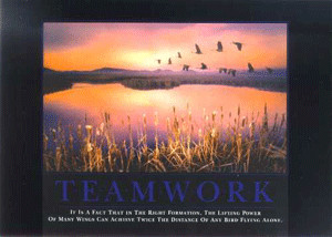 Teamwork (Cranes)