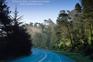 Coastal Highway 1 road winding through forest at Cambria, Central ...