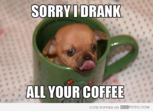 ... puppy in a cup licking it's mouth: 