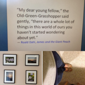 James And The Giant Peach Quotes