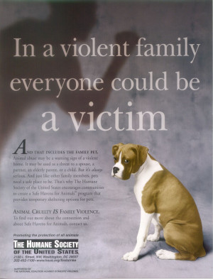 Against Animal Cruelty! Animal abuse