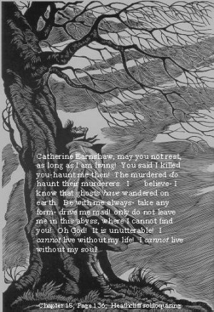 Quotes About Revenge In Wuthering Heights