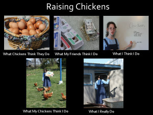 Raising Chickens Meme.jpg