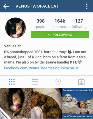 quotes about two faced family members