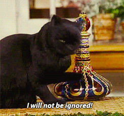 about me queue cats Sabrina the teenage witch Salem Saberhagen ep: she ...