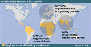main symptoms of malaria