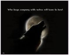 Lone Wolf Quotes About Strength Lone wolf quote - google
