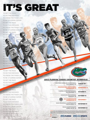 2013 Cross Country Poster