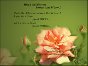 what s the difference between like love