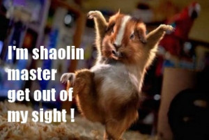 Thread: Banzaiiii! ~