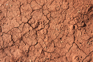 In the spirit of “recycling” I’ll be posting quotes on this blog ...