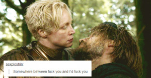 LOL my gifs game of thrones asoiaf Jaime Lannister Brienne of Tarth i ...