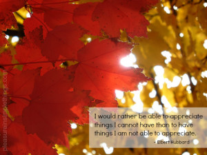 gratitude quote with fall leaves