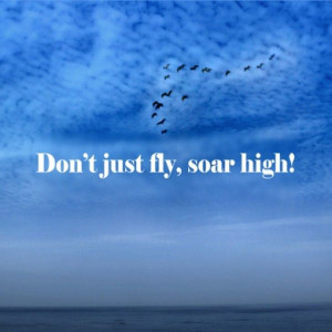 Don't just fly, soar high!