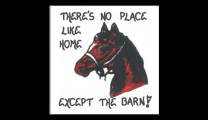 Horse Magnet Quote for equine enthusiasts, equestrians, stables, barns ...