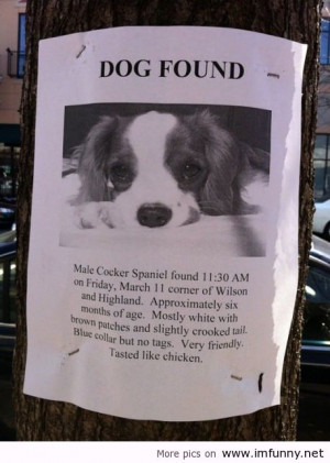 funny-quotes-quotes-funny-quotes-pictures-funny-quotes-and-sayings ...