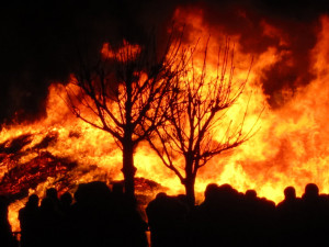 Burning Trees Theotherkate