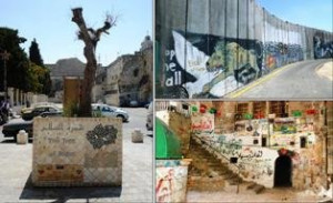 Political Science and the Israeli Palestinian Conflict