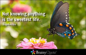 Not knowing anything is the sweetest life.