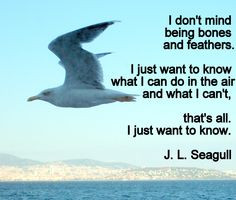 just want to know jonathan livingston seagull buddhism more jonathan ...