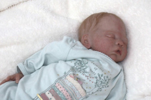 reborns babies reborn for a shipping quote i will ship overseas