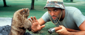 40 Of Bill Murray's Greatest Movie Quotes