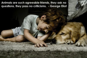 My Favorite Dog Quotes 2