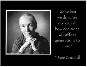 Jane Goodall Quotes | Chasing the Wild