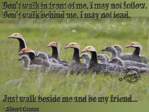 follow don t walk behind me i may not lead just walk beside me and be ...