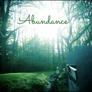 Abundance Only Through Great Love Quotes Inspirational