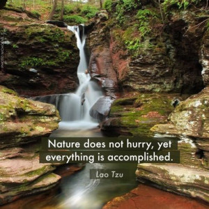 Nature doesn't hurry, yet everything is accomplished.