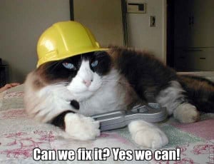 Funny Random Cat Pictures With Quotes | Image 55 of 71.