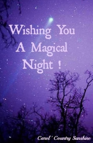 ... you a magical night