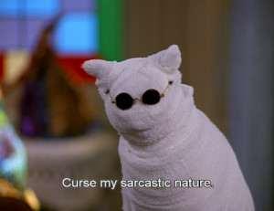 ... cat, funny, glasses, lol, nature, quotes, sabrina, sarcastic, series