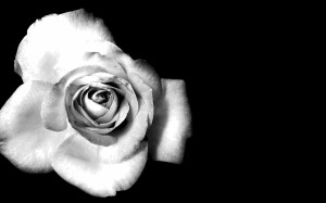 Black-and-White-Flower-Wallpaper-HD-for-Desktop-1.jpg