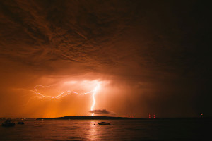 Lightning Storm Tree Life...