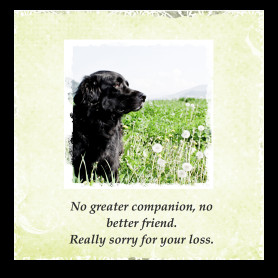 Pet Sympathy Card Messages