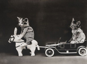 Old Timey LOLcats! 