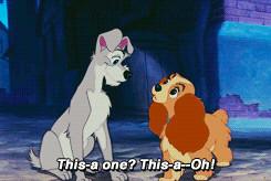 Lady and the Tramp Quotes