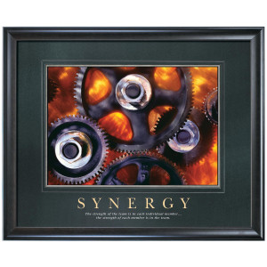 Synergy Motivational Poster (733363)