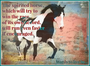 The Spirited Horse Which Will Try To Win The Race Of Its Own Accord ...