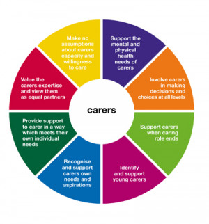 The common core principles for working with carers