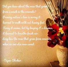 Just added my life poem by Tupac Amaru Shakur too a photo I took from ...