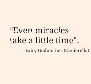 Cinderella Fairy Godmother Quote