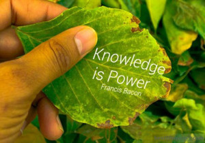 Knowledge is Power Quotes FB Profile Pictures
